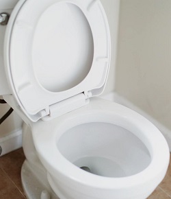 Read the article on Water saving toilet